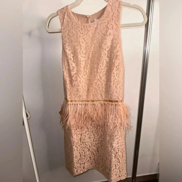 Endless Rose Lace Feather Dress Size L - Picture 1 of 3